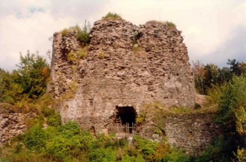 Frymburk