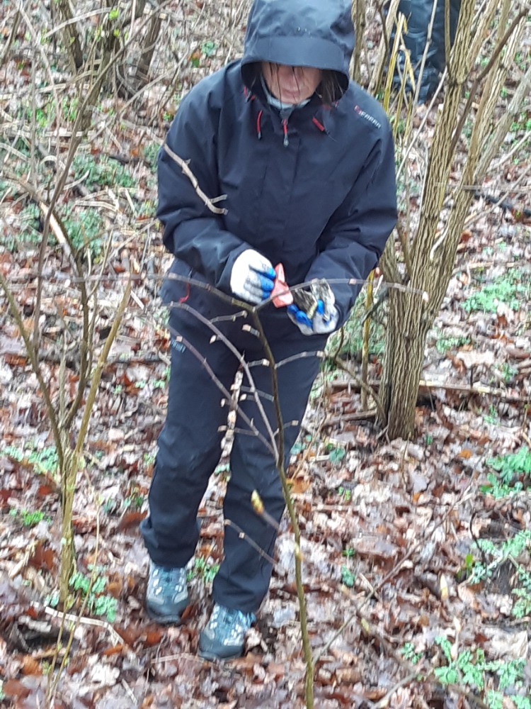 Úklid směr Přibyslav