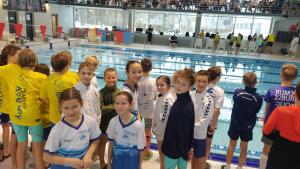 Mladoboleslavské vlnky