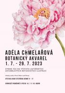 Adéla Chmelařová / Botanické akvarelové ilustrace 1