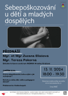 Sebepoškozování u dětí a mladých dospělých 1