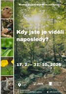 Kdy jste je viděli naposledy?