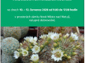 Výstava kaktusů